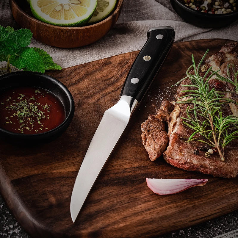 Soshida 4-Piece Steak Knife Set