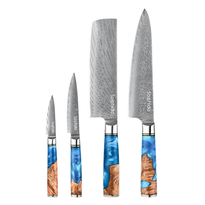 Professional 4 Piece Damascus Chef Knife Set