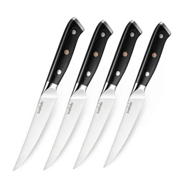 Soshida 4-Piece Steak Knife Set