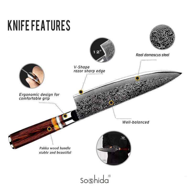 Soshida Zen 8” Damascus Steel Chef Knife