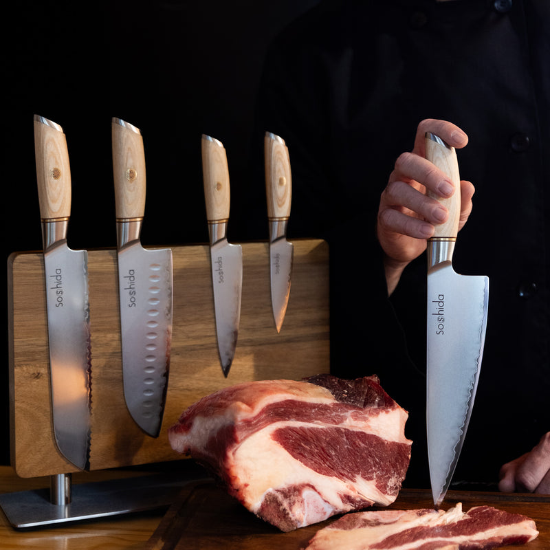 Soshida Professional 5 Piece Chef Knife Set