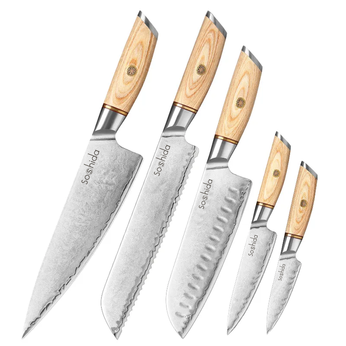 Premium 5 Piece Knife Set  Ultra Sharp Japanese Professional Chef Set –  Casa do Soan